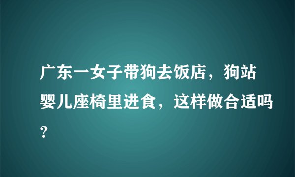 广东一女子带狗去饭店，狗站婴儿座椅里进食，这样做合适吗？