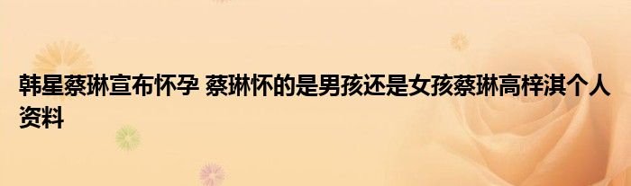 韩星蔡琳宣布怀孕蔡琳怀的是男孩还是女孩蔡琳高梓淇个人资料