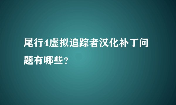 尾行4虚拟追踪者汉化补丁问题有哪些？