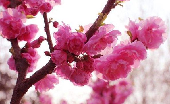 qq炫舞有哪些名字好听