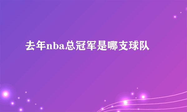 去年nba总冠军是哪支球队