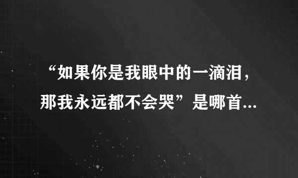 “如果你是我眼中的一滴泪，那我永远都不会哭”是哪首歌的歌词