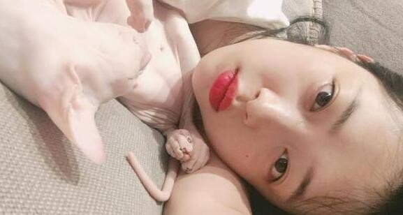 霍思燕演过哪些优秀的电视剧？