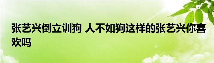 张艺兴倒立训狗人不如狗这样的张艺兴你喜欢吗