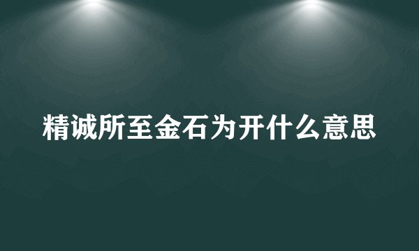 精诚所至金石为开什么意思