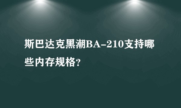 斯巴达克黑潮BA-210支持哪些内存规格？