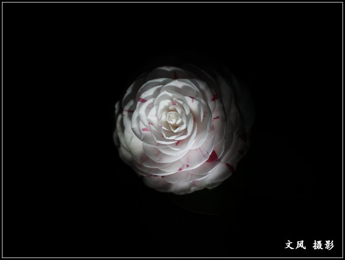 抓破网的发展路线