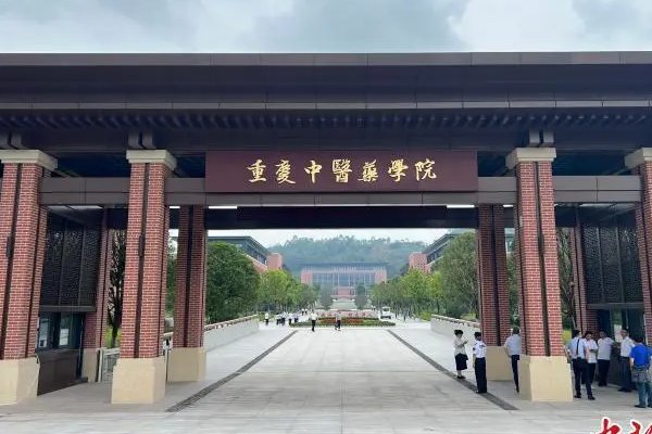 重庆中医的分数线是多少？