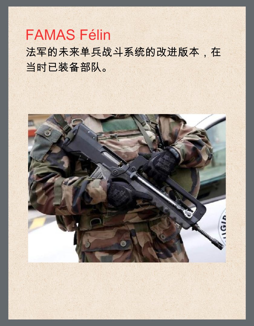 法国FAMAS突击步枪