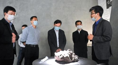 房林圣达房地产经纪公司被立案调查，被立案调查的原因是什么？