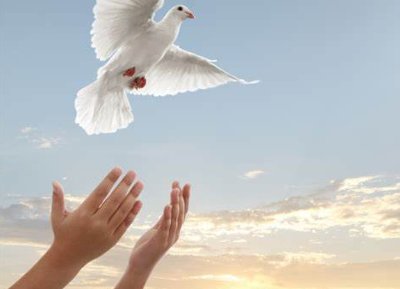 放手吧． 英文怎么说