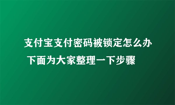 支付宝支付密码被锁定怎么办 下面为大家整理一下步骤