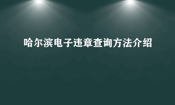 哈尔滨电子违章查询方法介绍