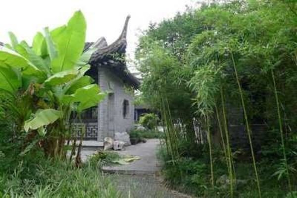 郑板桥曾经自称“青藤门下走狗”,为什么“走狗”在这里没有贬义了?