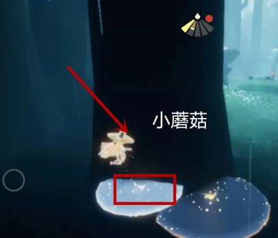 光遇荧光小菇在哪里