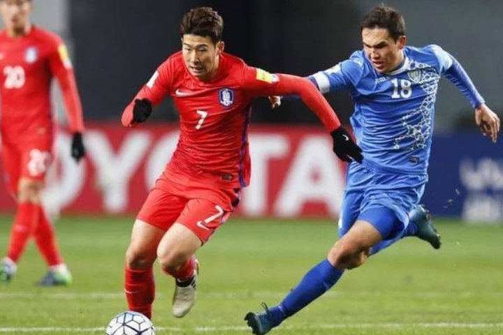 2022年亚洲参加世界杯的国家