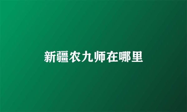新疆农九师在哪里