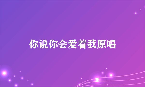 你说你会爱着我原唱