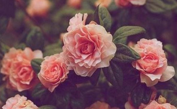 qq炫舞有哪些名字好听