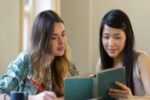 alison是什么意思