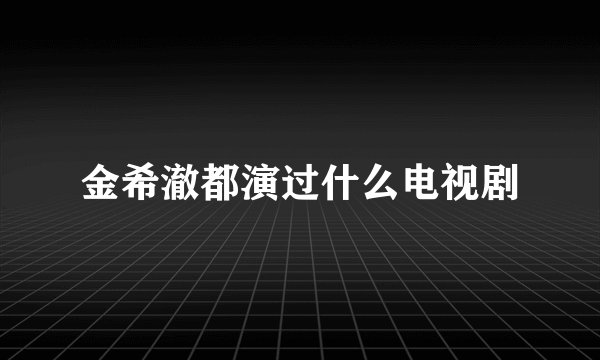 金希澈都演过什么电视剧