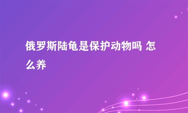 俄罗斯陆龟是保护动物吗 怎么养