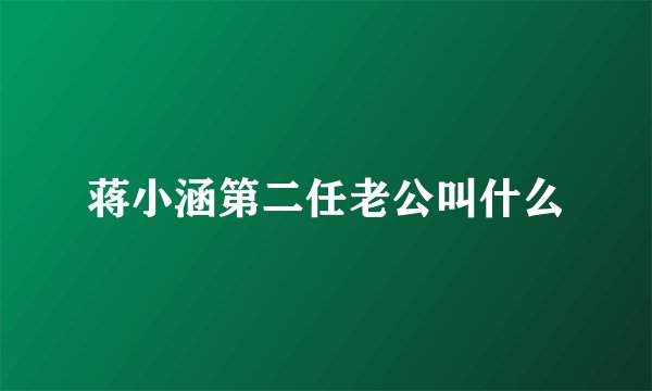 蒋小涵第二任老公叫什么