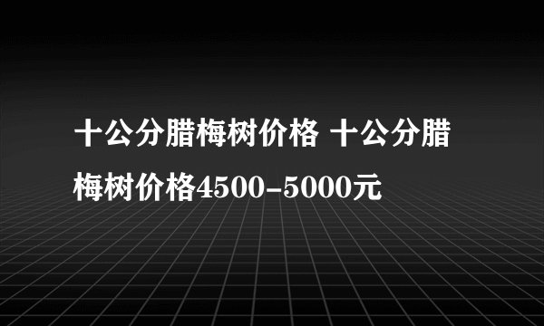 十公分腊梅树价格 十公分腊梅树价格4500-5000元