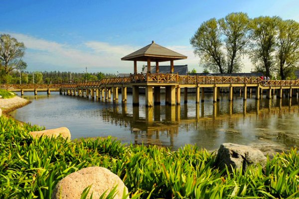 乐亭教育局电话号码