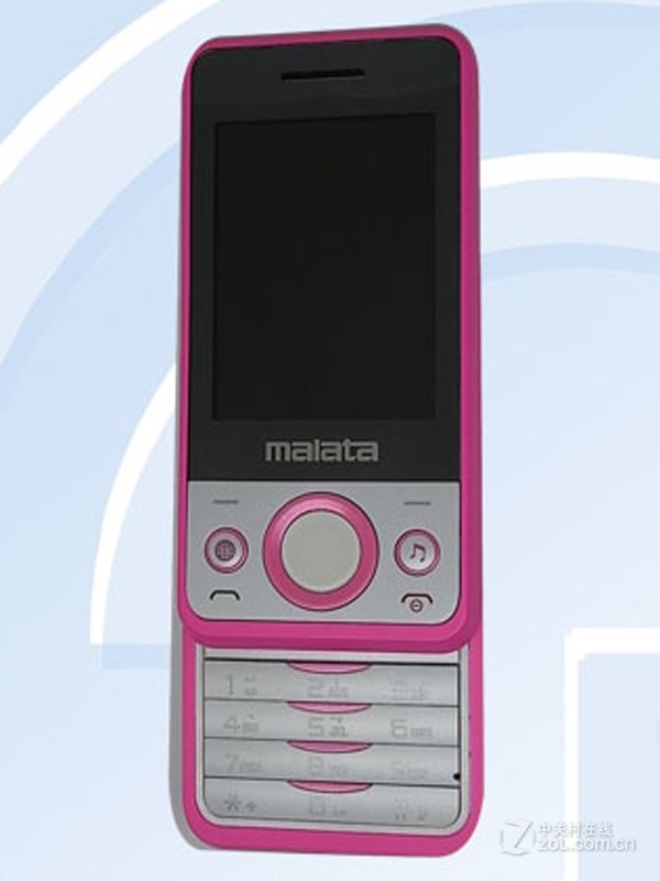 皇妃日记的内容简介