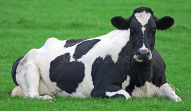 天上的白云真白啊！这是不是拟人句？