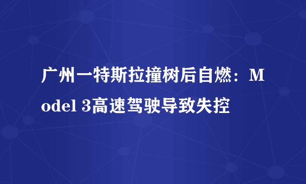 广州一特斯拉撞树后自燃：Model 3高速驾驶导致失控