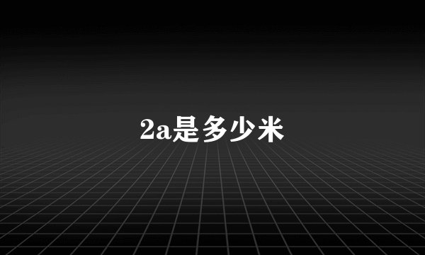 2a是多少米