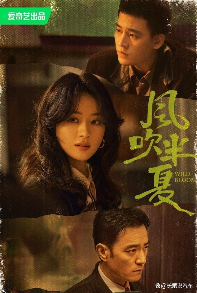 风吹半夏电视剧简介