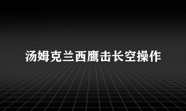 汤姆克兰西鹰击长空操作