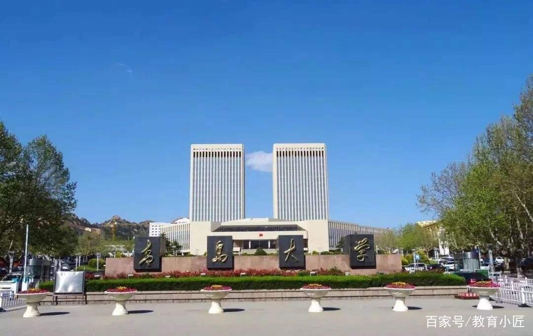 青岛大学一教职员工发表不当言论被处分，该名职员以后还能从事教师行业吗？