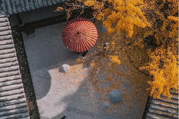 方寸之地的意思