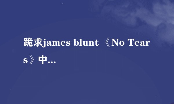 跪求james blunt 《No Tears》中文歌词，急急急！！！