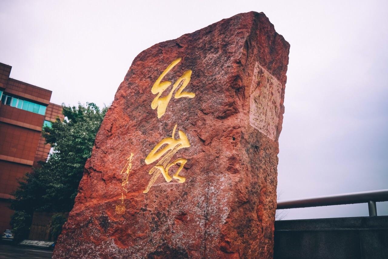 《红岩》中刘思杨的故事概括，400字左右