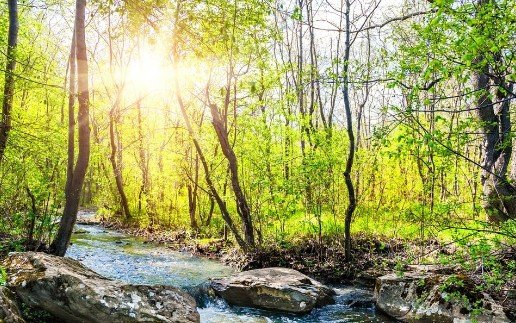 以“秋天的雨”为描写对象，仿照句子，续写两句，使之构成排比句：秋天的雨，是一把钥匙，它带着清凉和温