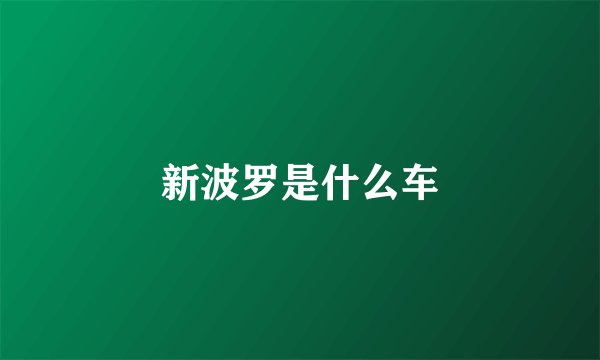 新波罗是什么车