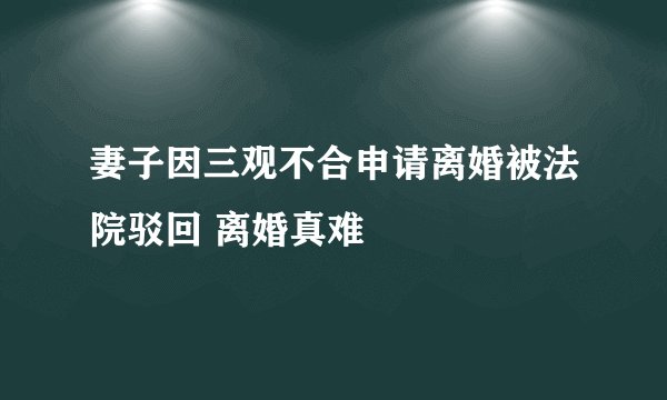 妻子因三观不合申请离婚被法院驳回 离婚真难