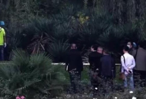 湖北21岁女孩晨跑时被害身亡，该案件的嫌犯曾经有过哪些作案史？