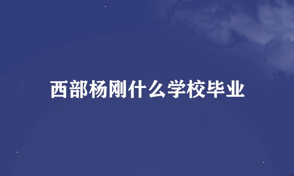 西部杨刚什么学校毕业
