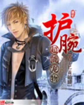 超能宠物护腕的起点荣誉