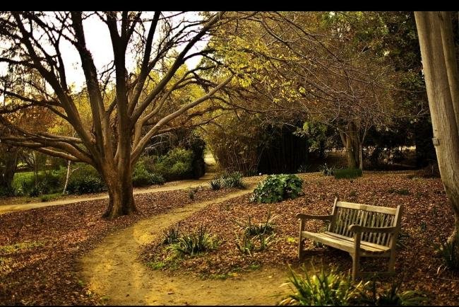 一个男的每次和你睡完给你钱是什么意思