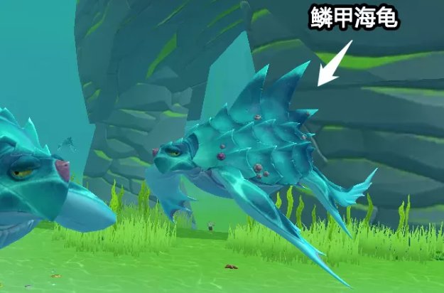 鳞甲海龟的饲料怎么做