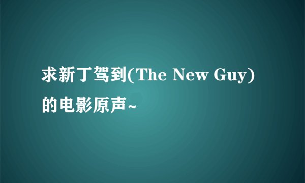 求新丁驾到(The New Guy)的电影原声~