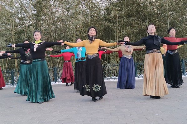 广场舞草原多么美背面分解