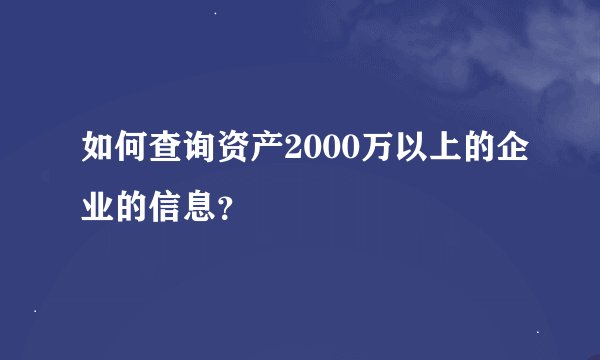 如何查询资产2000万以上的企业的信息？
